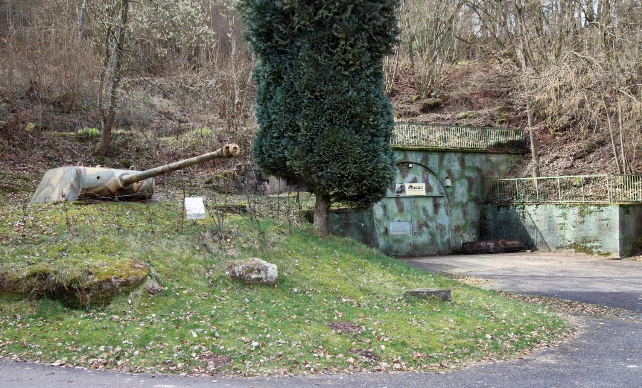 Fewo Pfaelzer Felsenlandschaft Pirmasens Zewnętrze zdjęcie