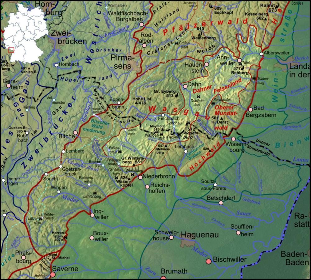 Fewo Pfaelzer Felsenlandschaft Pirmasens Zewnętrze zdjęcie